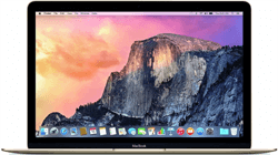 MacBook (2012-2017) 12inch A1534